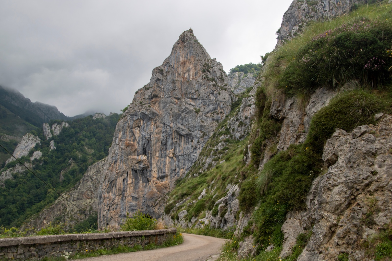 The Picos de Europa massif